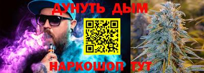 сатива Лесосибирск