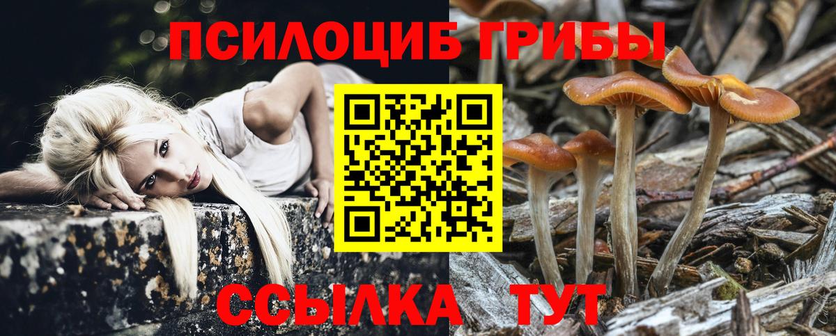 Псилоцибиновые грибы прущие грибы Иваново