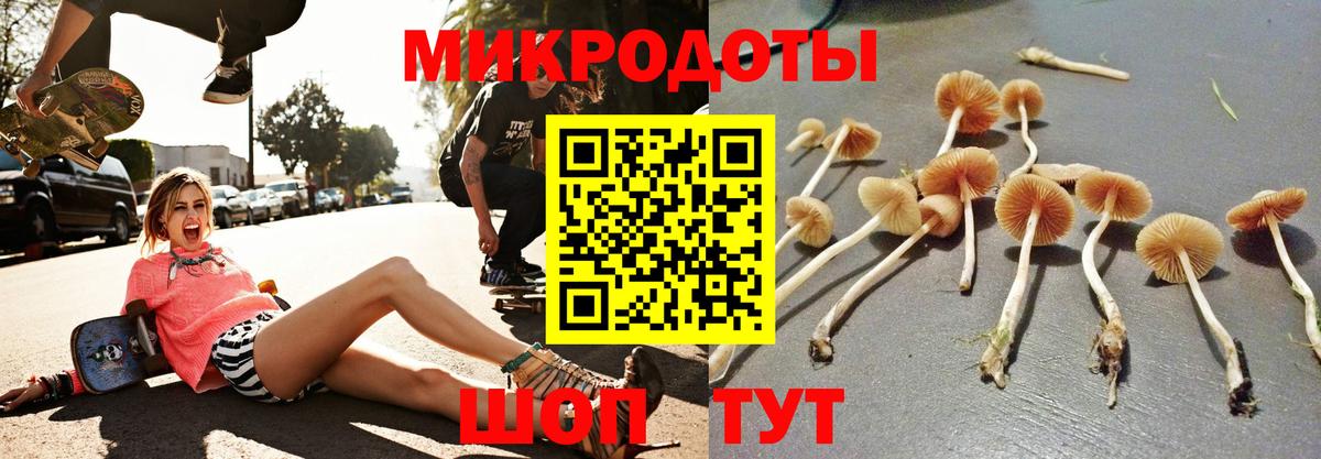 где продают наркотики  Вход с VPN  Иваново  Галлюциногенные грибы мухоморы  Галлюциногенные грибы Magic Shrooms 